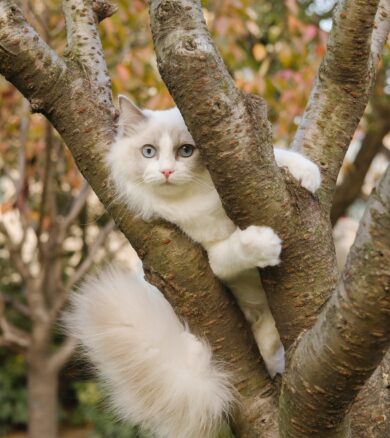Outdoor Photoshoot